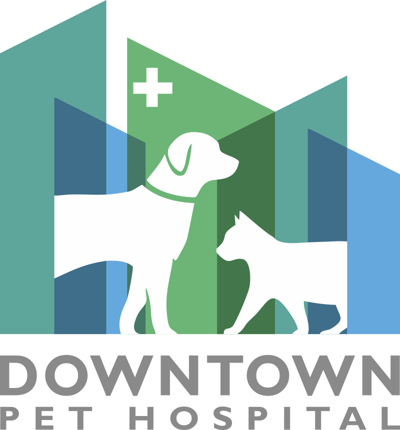 The pet hospitals hot sale downtown